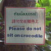 137341 - Popular Funny Engrish Translations - 22