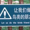 12190 - Popular Funny Engrish Translations - 10