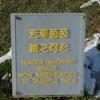 21207 - Popular Funny Engrish Translations - 13