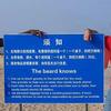 23200 - Popular Funny Engrish Translations - 10