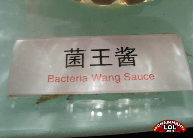Bacteria