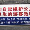 504 - Popular Funny Engrish Translations - 10