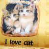 529 - Popular Funny Engrish Translations - 8