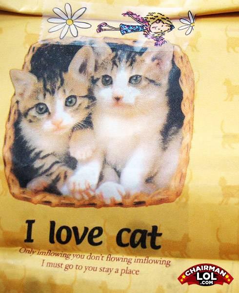 Engrish-funny-1221802253-48026