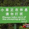 Engrish-funny-1226107927-88776